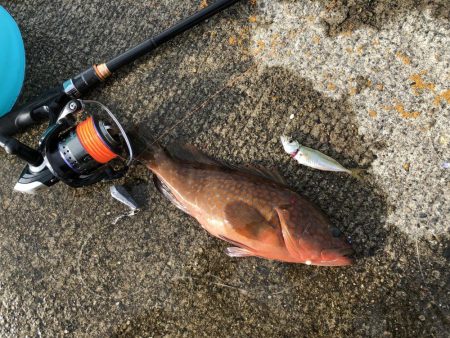 直江津ハッピーにて