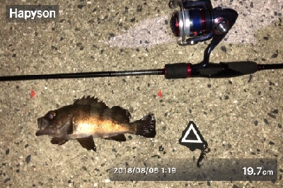 タチウオワインド