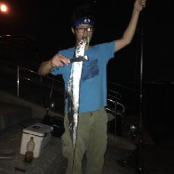 夏タチウオ調査