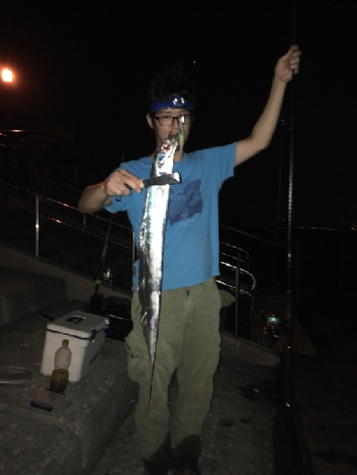 夏タチウオ調査