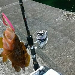 日本海釣行(二日目)