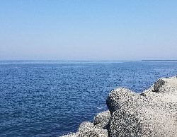 やっぱり生き餌が一番