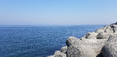 やっぱり生き餌が一番