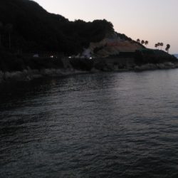 アジフライ釣行