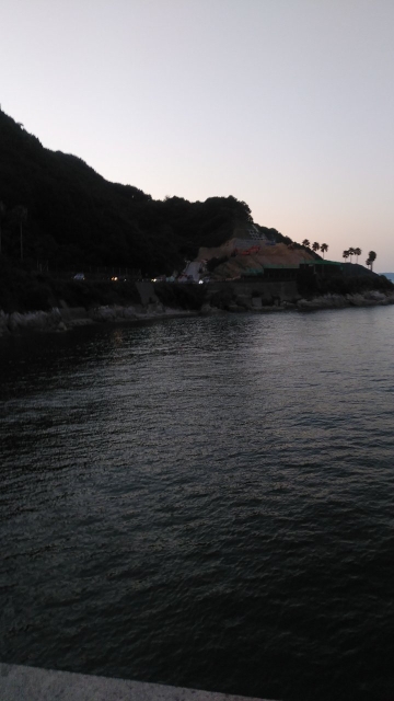 アジフライ釣行