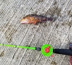 おもちゃの釣竿