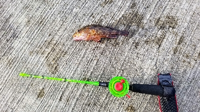 おもちゃの釣竿