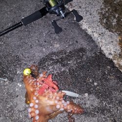 やっとおったわ!