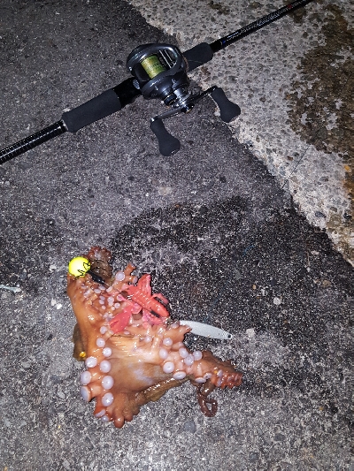 やっとおったわ!