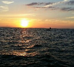 ショアジギからワインド