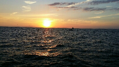 ショアジギからワインド