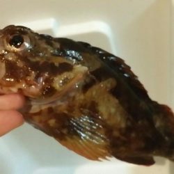 家族旅行のドサクサにて