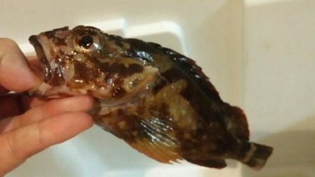 家族旅行のドサクサにて