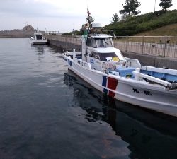 猛暑との戦い！