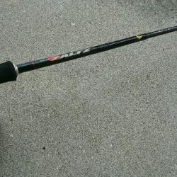 最初は西港に行ったのですが❗