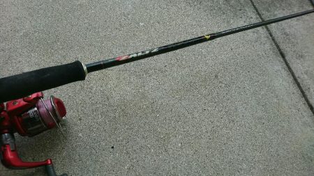 最初は西港に行ったのですが❗