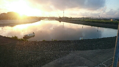 今日もハゼクラ