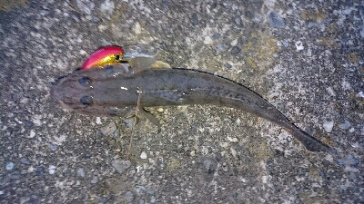 仕事終わりに・・・