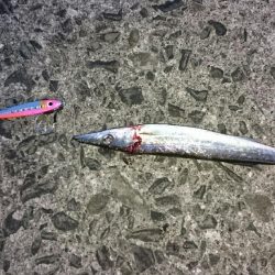 鹿児島釣行 2018 1日目