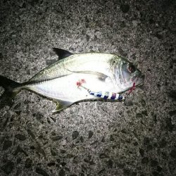 星に願いを…2!