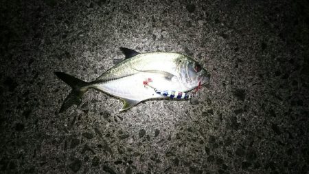 星に願いを…2!