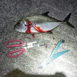 鹿児島釣行5日目！