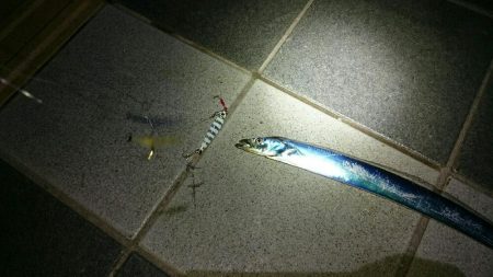 またまた、おちびさん