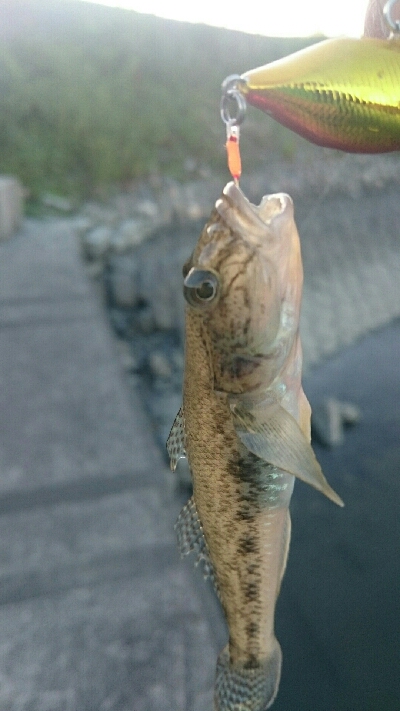 仕事終わりに・・・