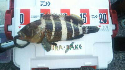 ライトロックゲーム