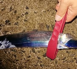 オールナイト釣行