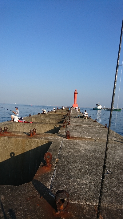 シイラを求めて！