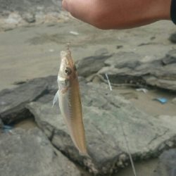 9時間耐久釣りレース