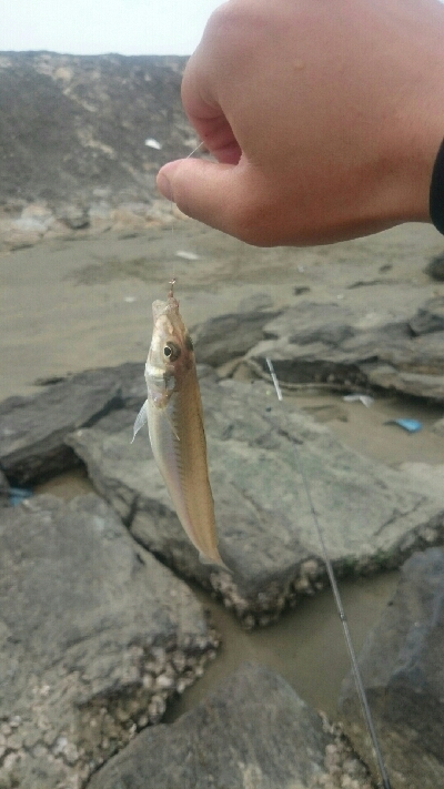 9時間耐久釣りレース