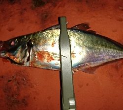 いつもの仲間と