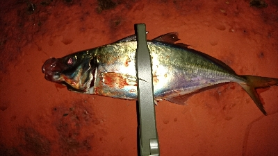 いつもの仲間と