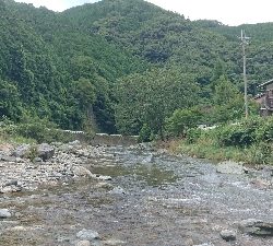 鮎 第四戦  ホーム高見川