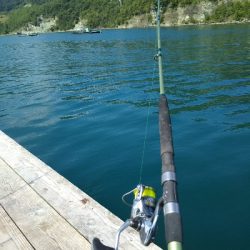 のませにて色々