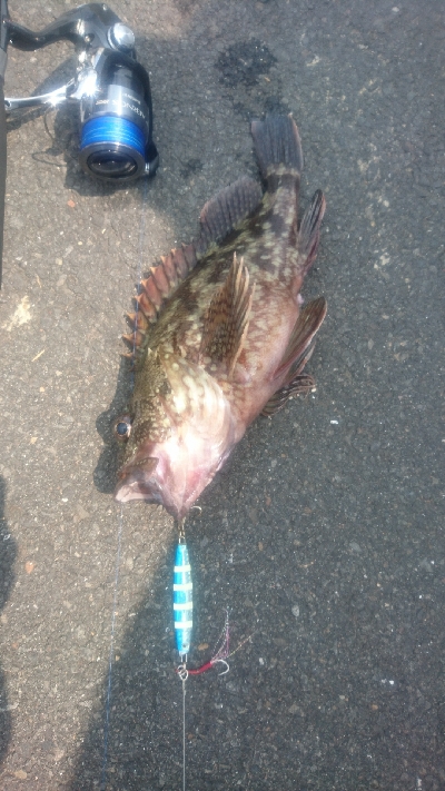 ライトショアジギング