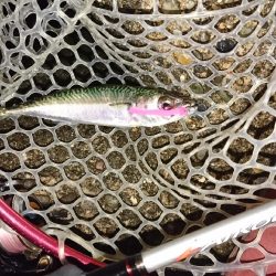 今日もサバゲー