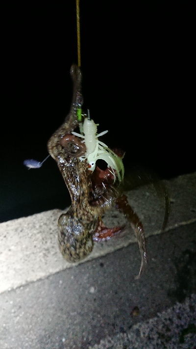 渋かったです！