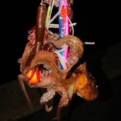 調子悪くなって来た(´；ω；｀)