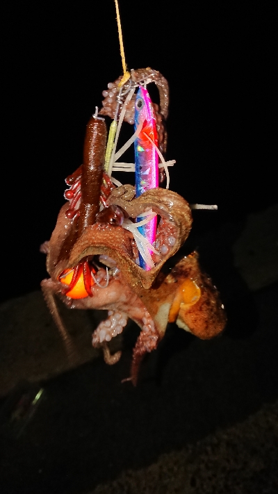 調子悪くなって来た(´；ω；｀)