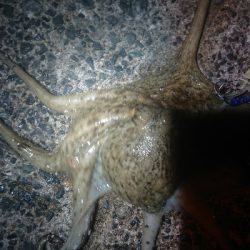 また、行ってきました〜