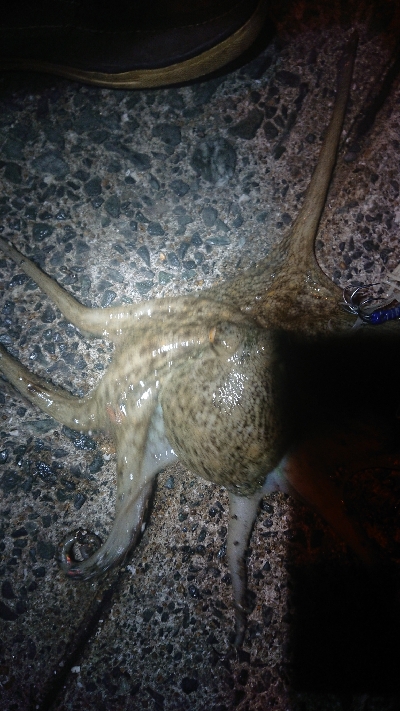 また、行ってきました〜