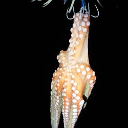 仕事終わってのストレス解消！