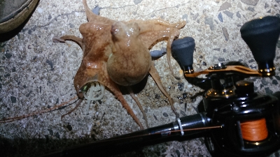 仲間と遠征も…