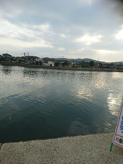昨日夕方の釣果