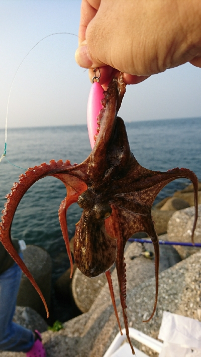 蒸し暑い朝でした～