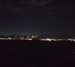 夏タチウオ調査