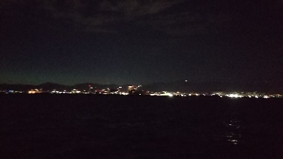 夏タチウオ調査